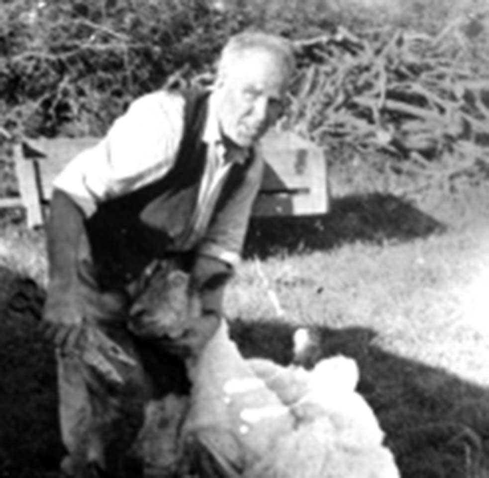 Micksie Clarke of Ballinacree doing a little hair styling