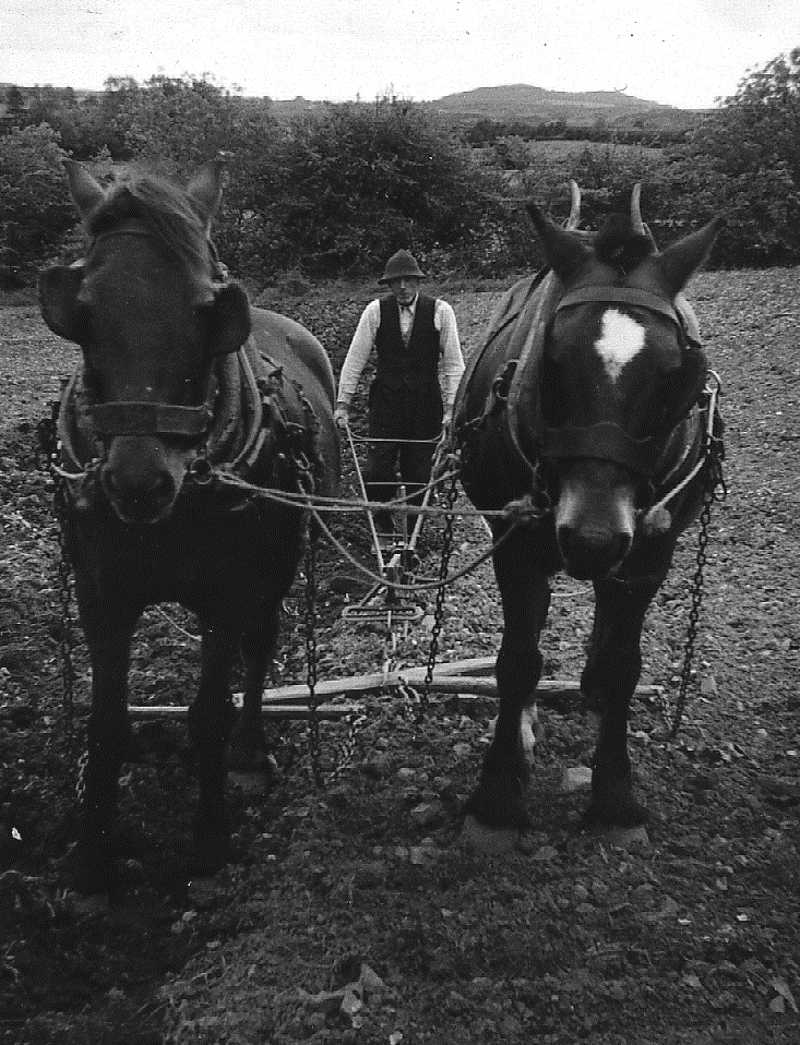 Pat Gammell Ploughing