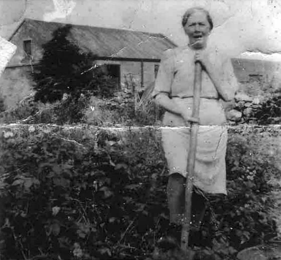 Mary (Mainie) Manley, Crossdrum Picture supplied by Patrick Purcell, great-grandson of Mary and son of Eileen Purcell nee Kelly Castlecor